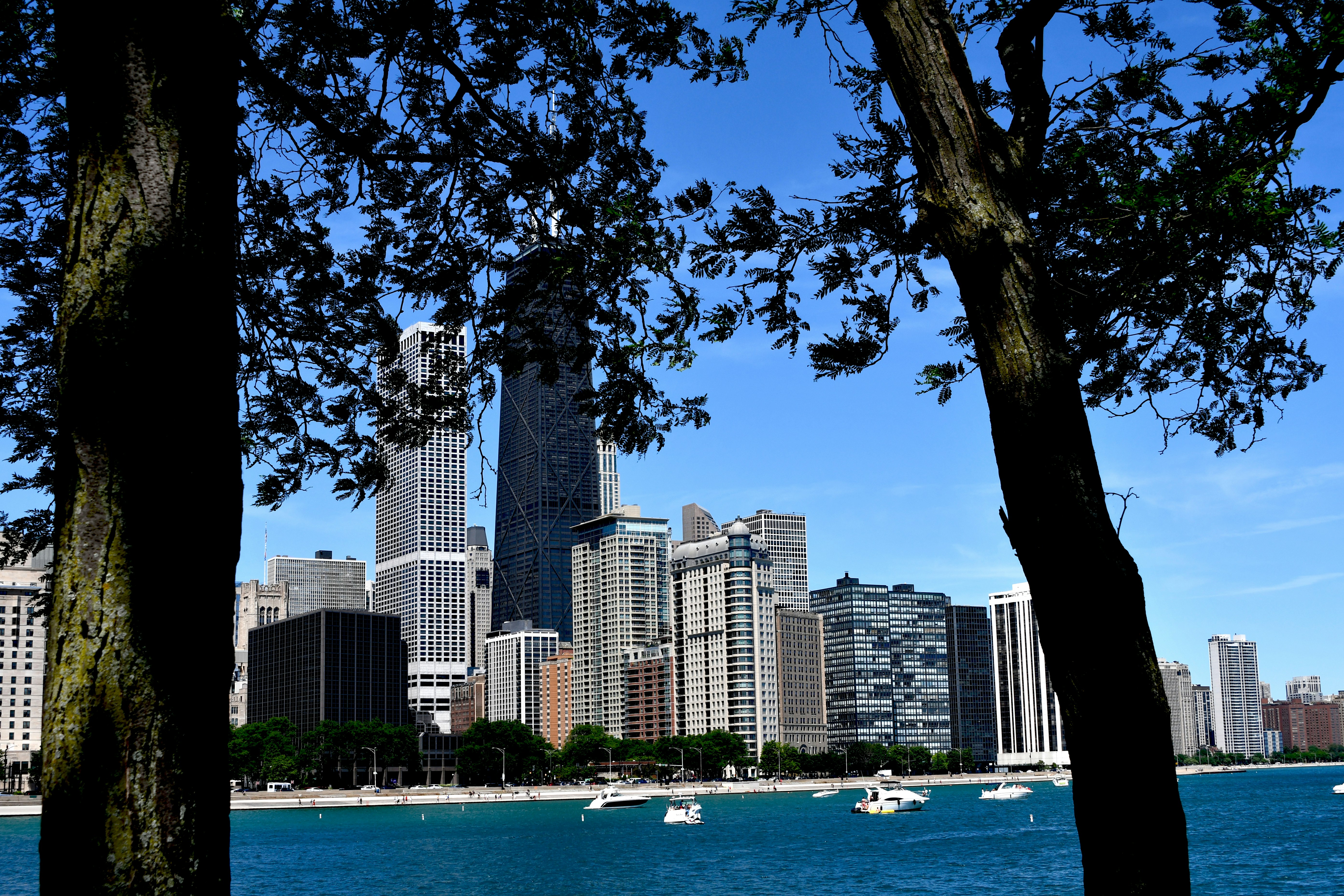 8 Chicago Business School Extracurricular Activities for Growth