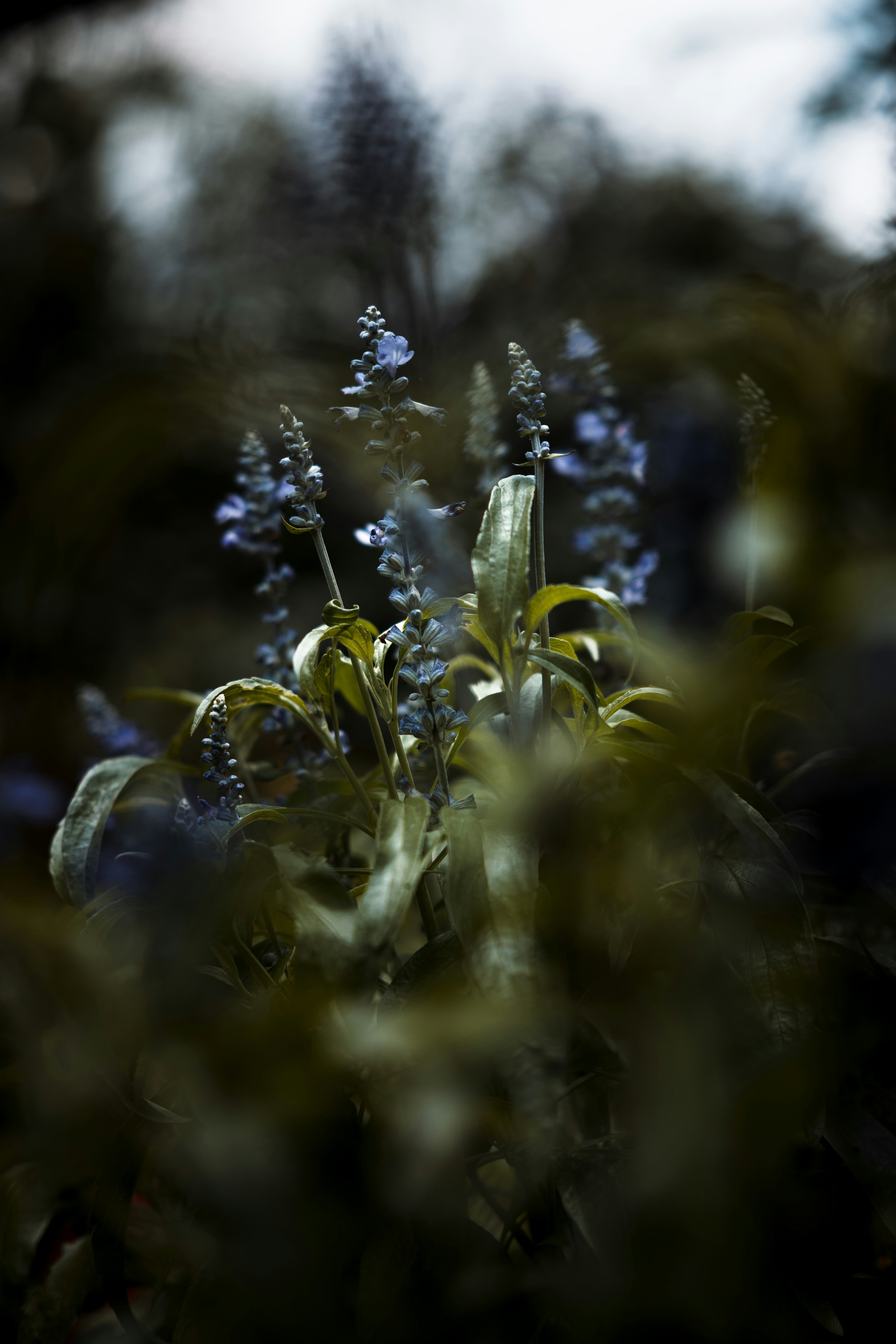 Photo by neganova