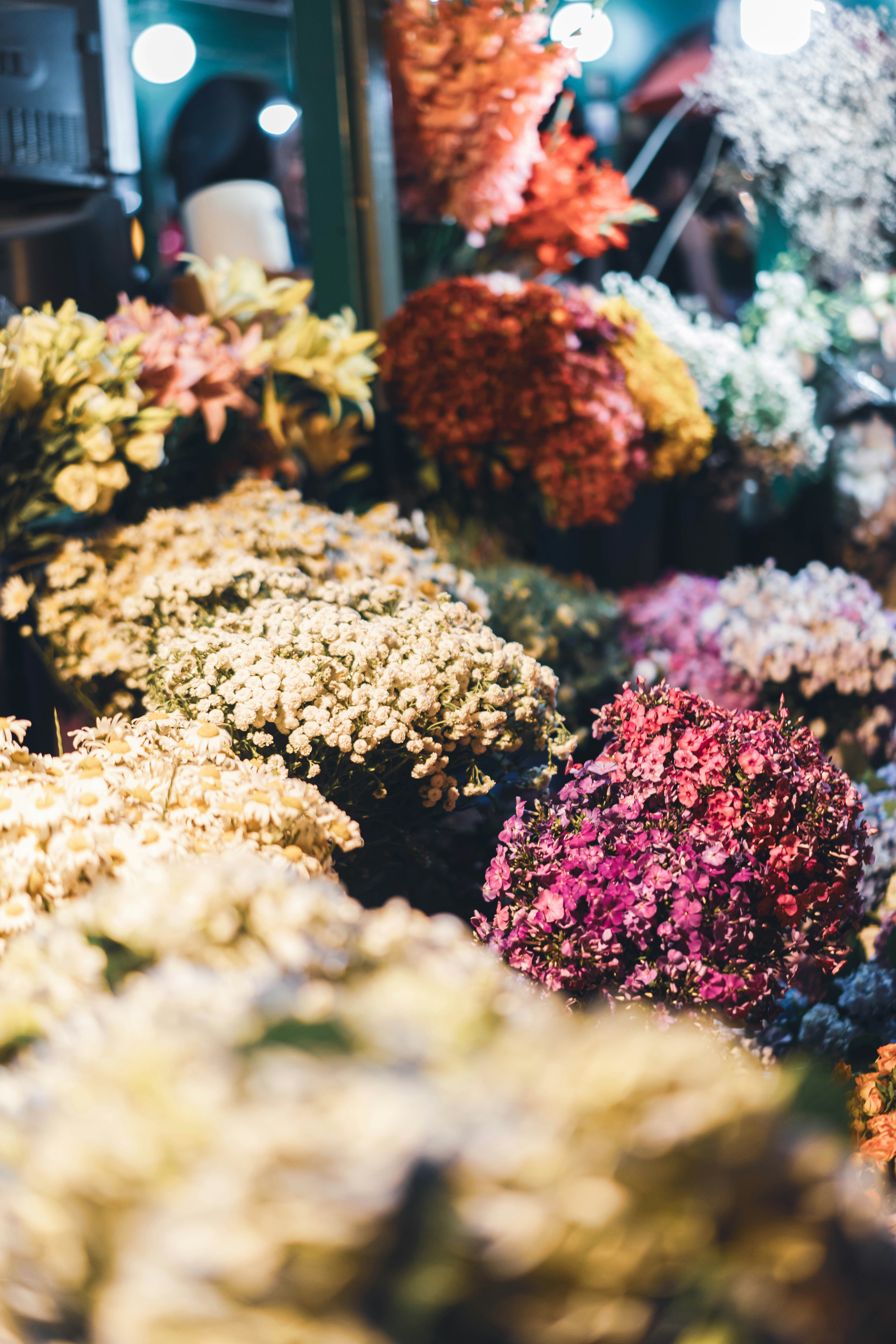 Photo by fairycarousel