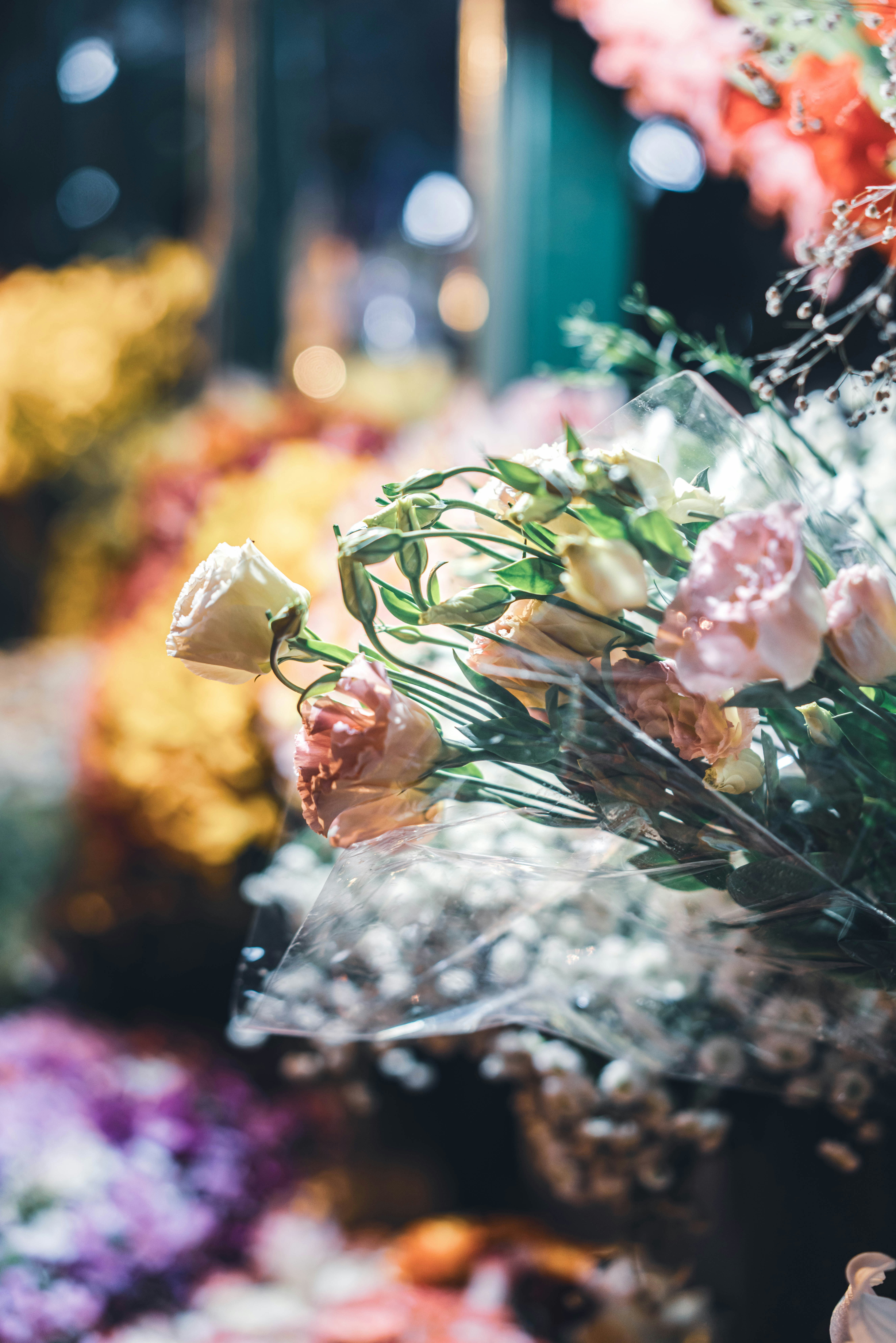 Photo by fairycarousel