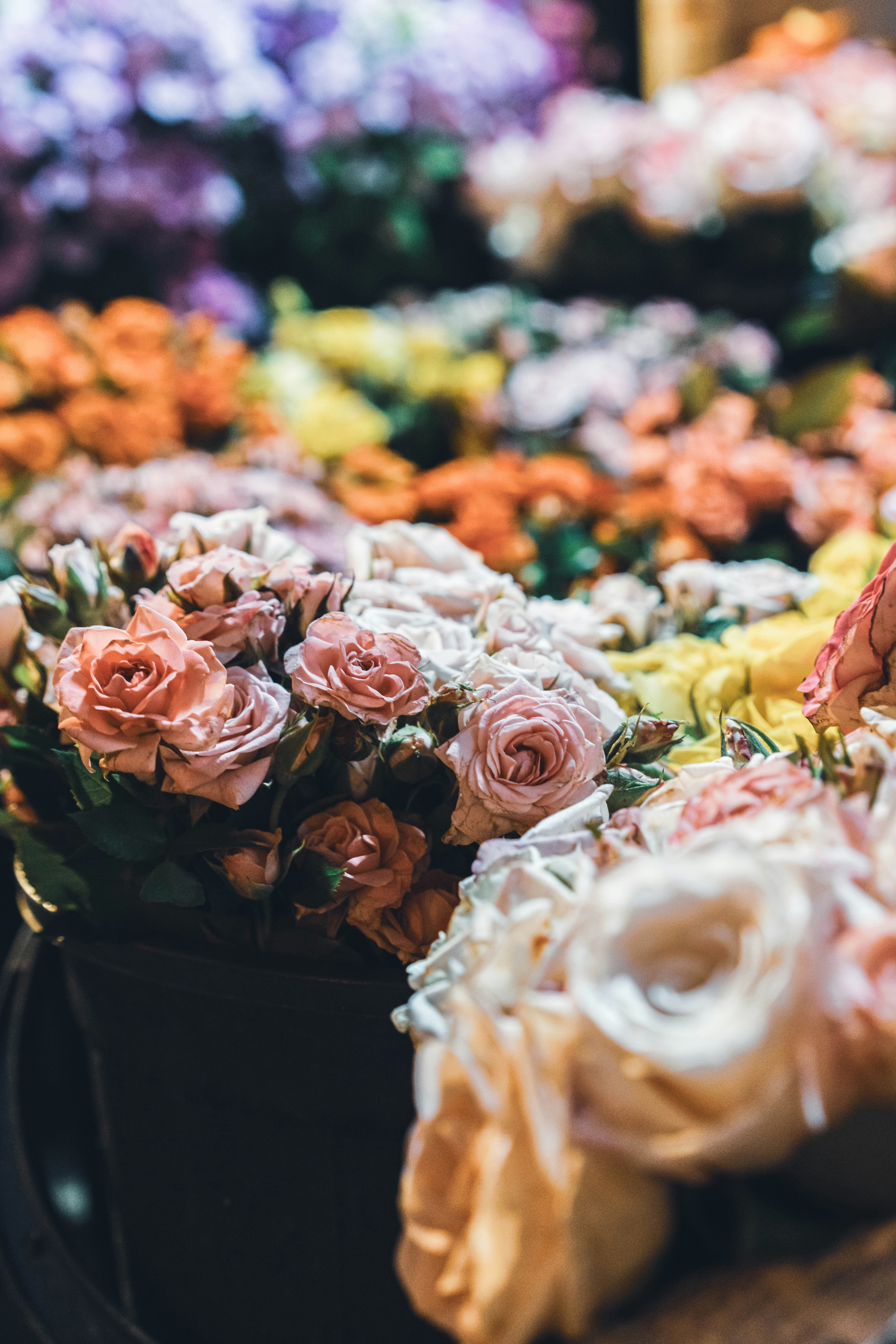 Photo by fairycarousel