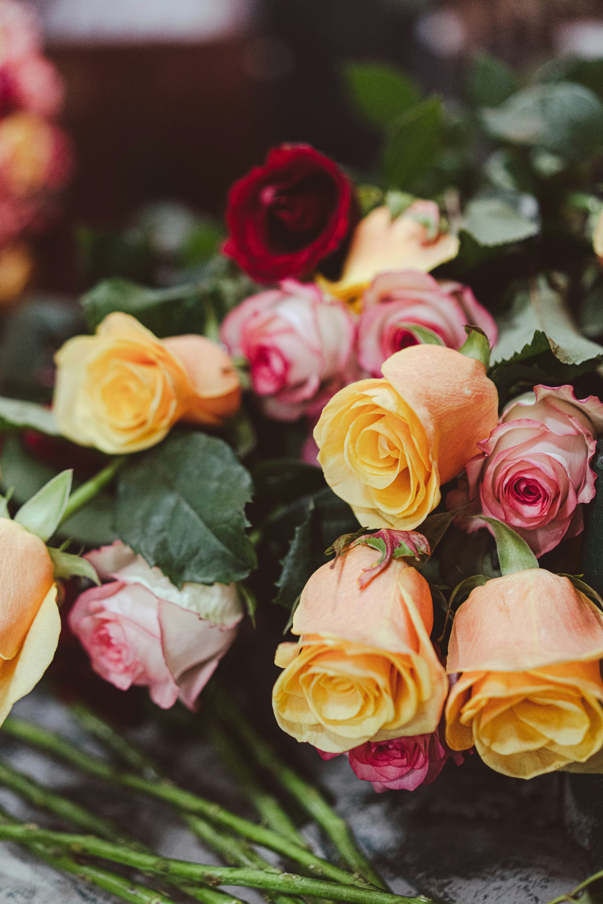a group of colorful flowers