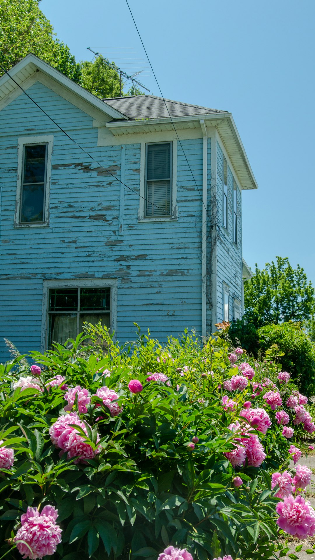 Suburban home