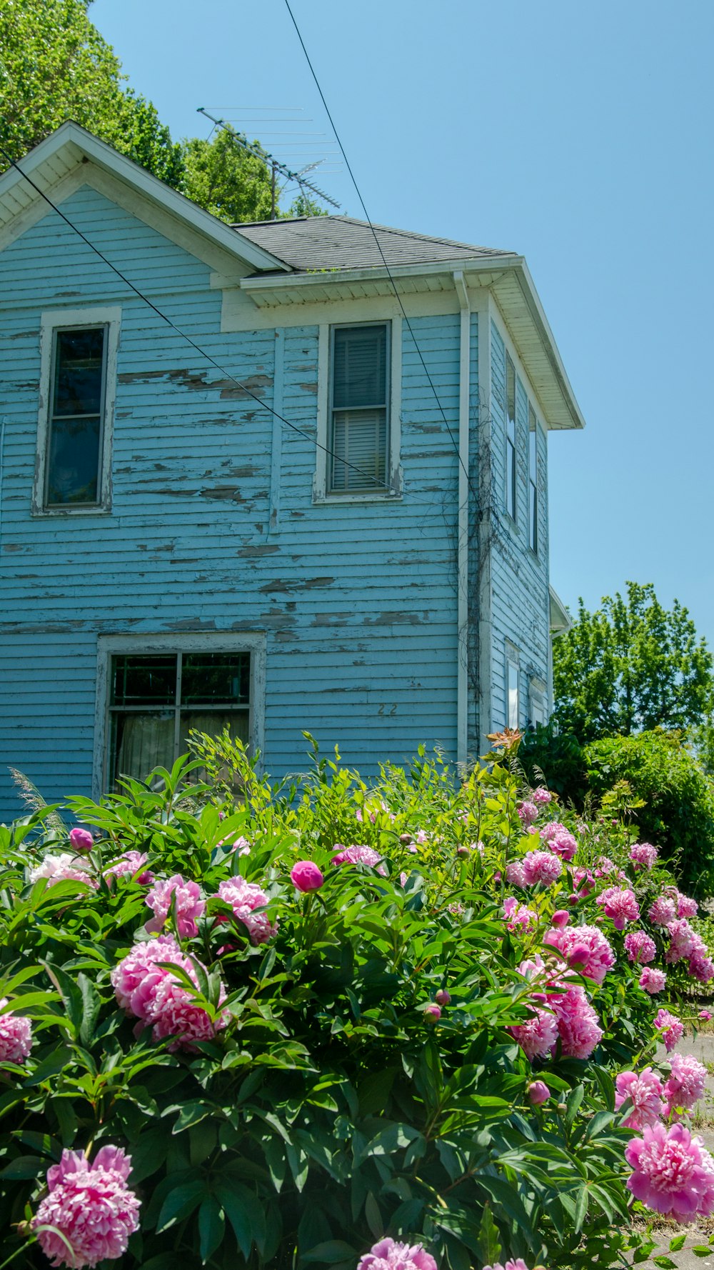 a house with a garden in front of it