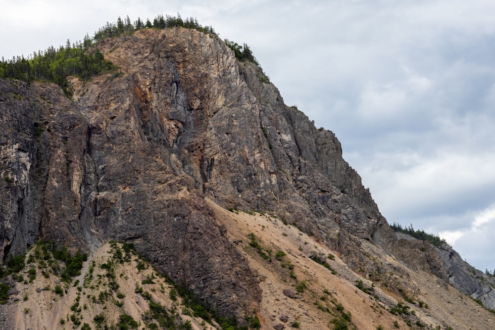 a rocky cliff with trees on it