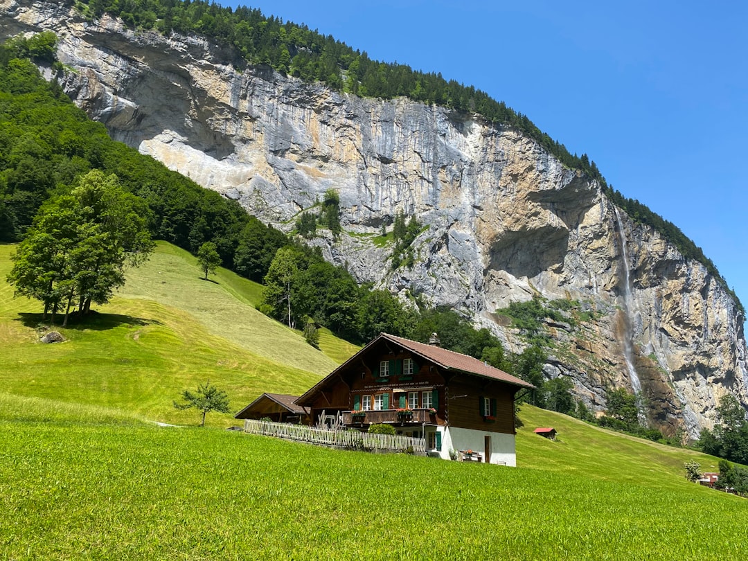 a house on a grassy hill,