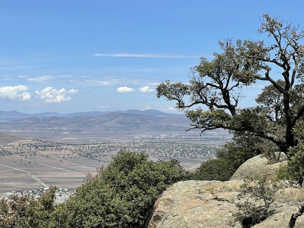 a landscape with trees and hills