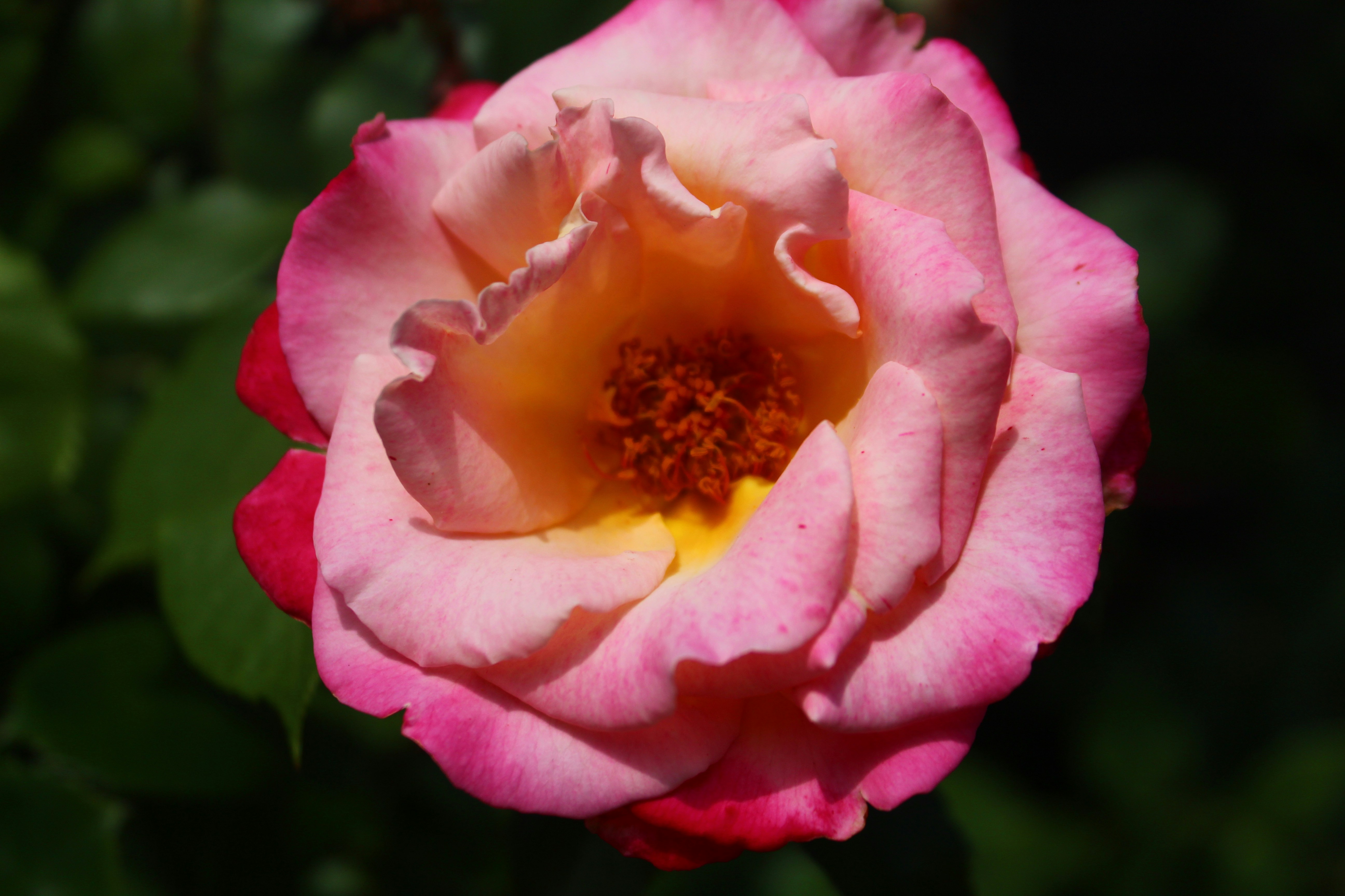 Photo by aidanschoenephotography