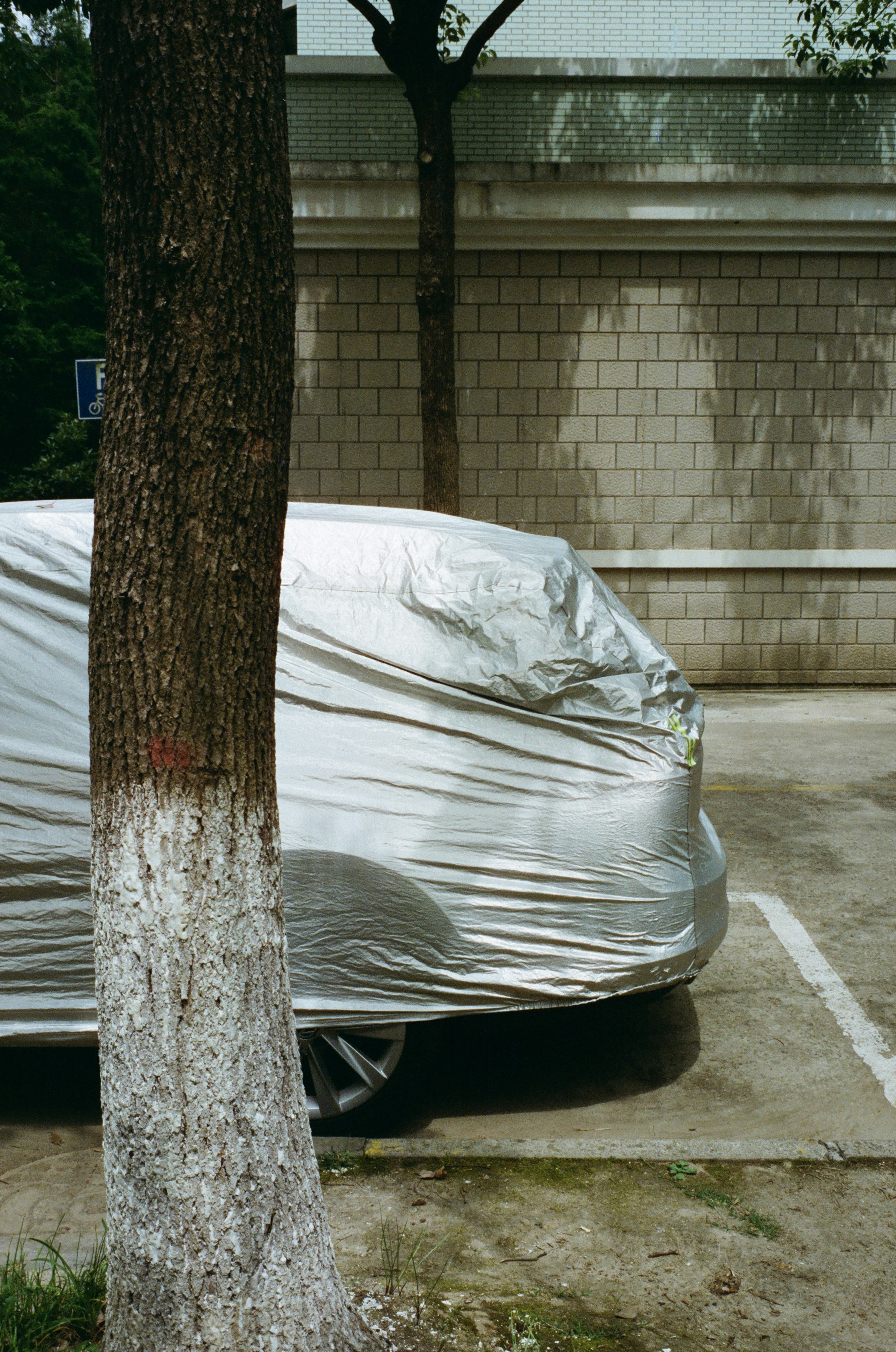 Understanding Car Insurance: A Comprehensive Guide