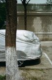 A car is partially covered with a silver protective cover, parked next to a tree with a textured trunk. The tree's bark is dark with a band of white paint near the base. The background features a brick wall with distinct horizontal lines, and patches of sunlight create shadows on the wall.
