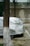 A car is partially covered with a silver protective cover, parked next to a tree with a textured trunk. The tree's bark is dark with a band of white paint near the base. The background features a brick wall with distinct horizontal lines, and patches of sunlight create shadows on the wall.
