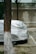A car is partially covered with a silver protective cover, parked next to a tree with a textured trunk. The tree's bark is dark with a band of white paint near the base. The background features a brick wall with distinct horizontal lines, and patches of sunlight create shadows on the wall.