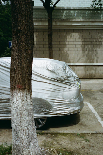 A car is partially covered with a silver protective cover, parked next to a tree with a textured trunk. The tree's bark is dark with a band of white paint near the base. The background features a brick wall with distinct horizontal lines, and patches of sunlight create shadows on the wall.