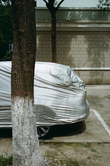 A car is partially covered with a silver protective cover, parked next to a tree with a textured trunk. The tree's bark is dark with a band of white paint near the base. The background features a brick wall with distinct horizontal lines, and patches of sunlight create shadows on the wall.