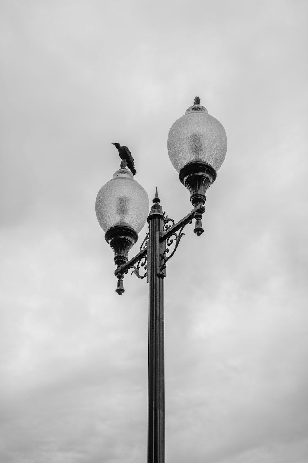 a bird sitting on a lamp post
