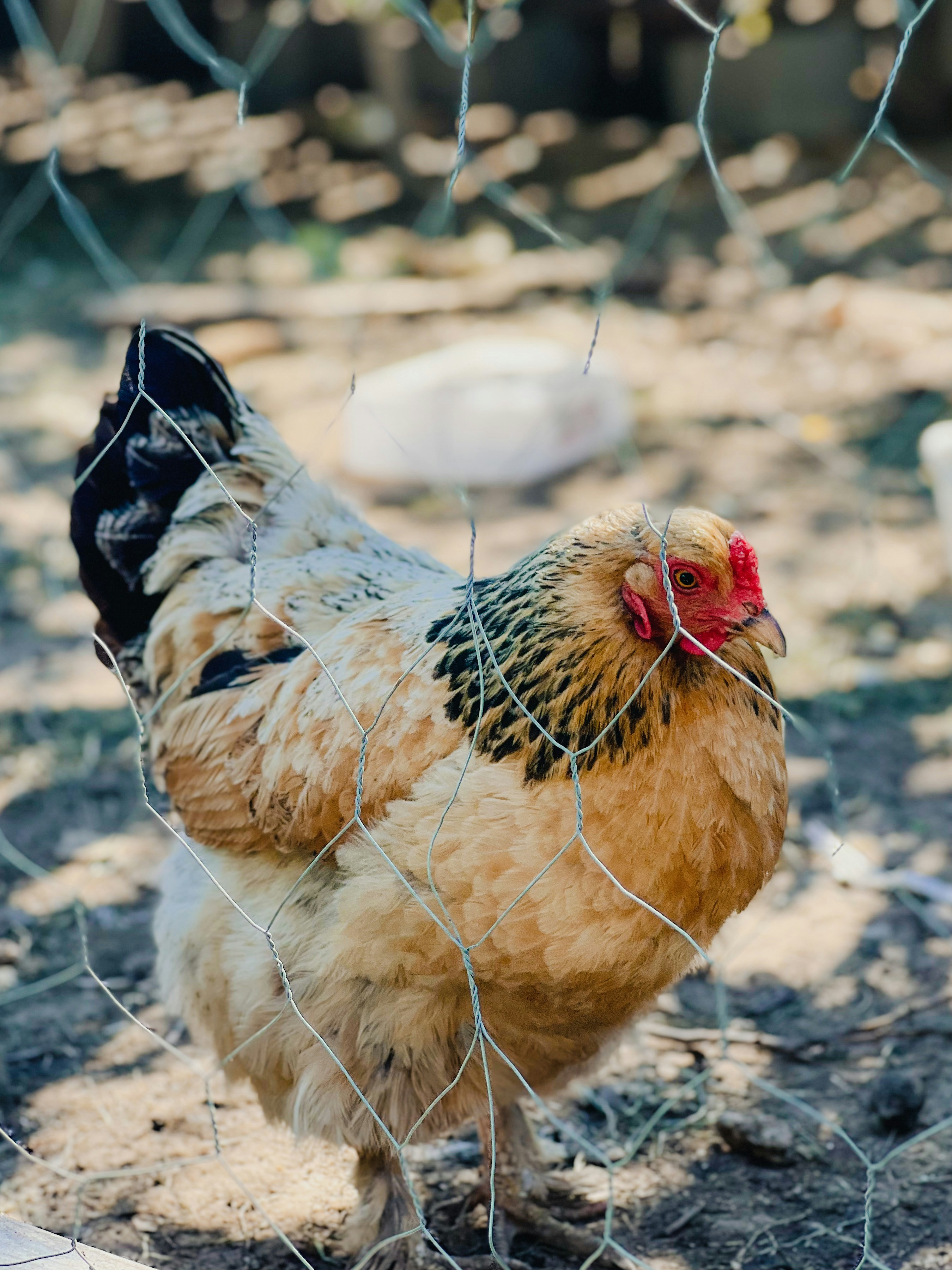 Photo by drizzy_bear86