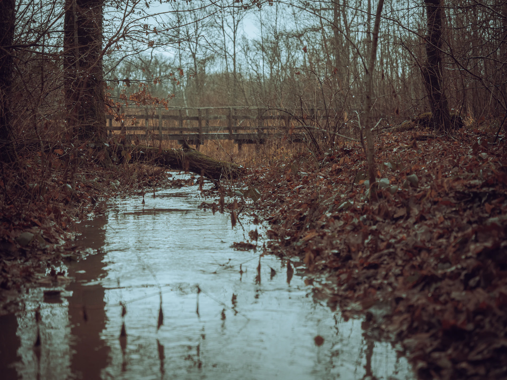 Creek District, San Marcos, California