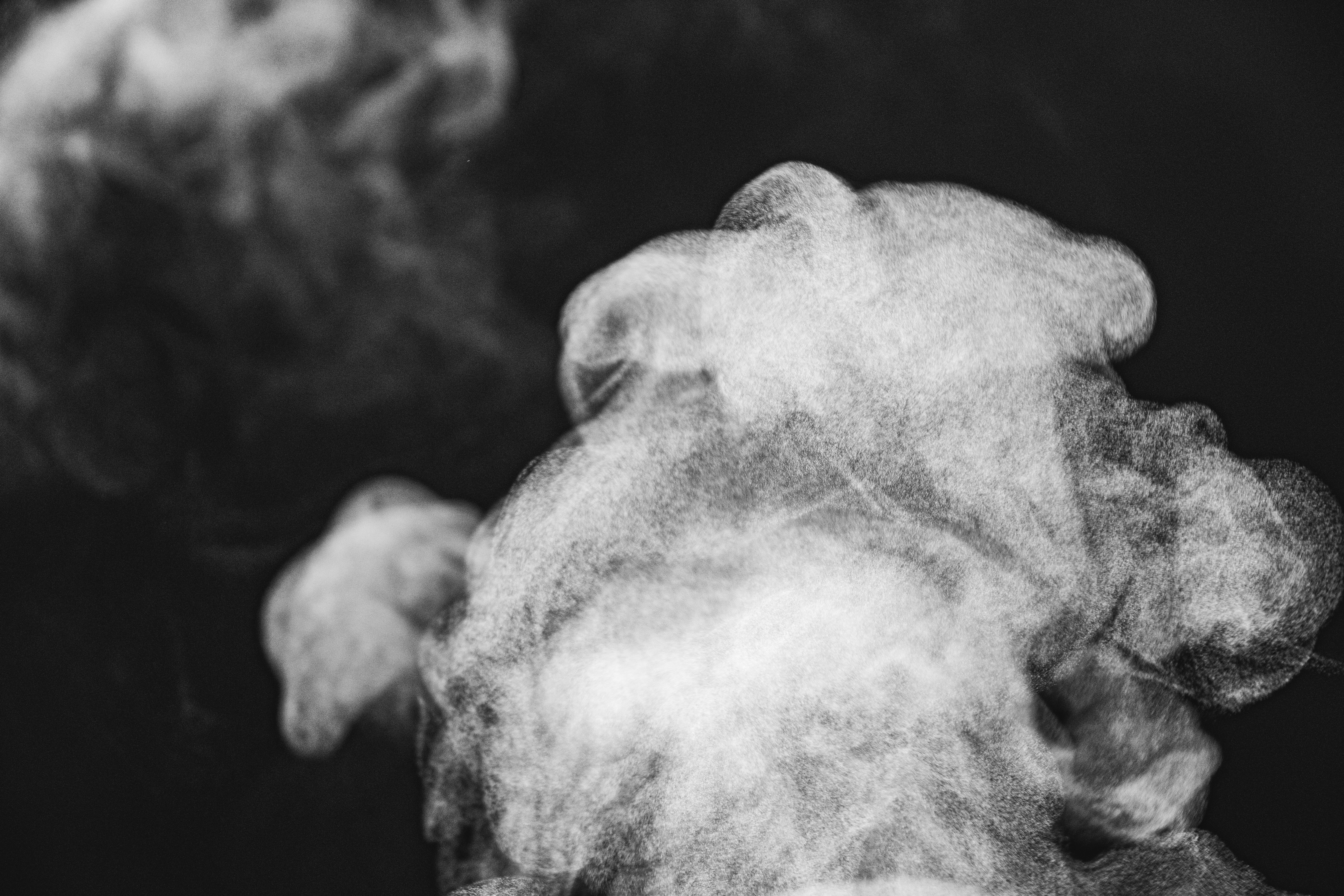 Photo by thomasstephan