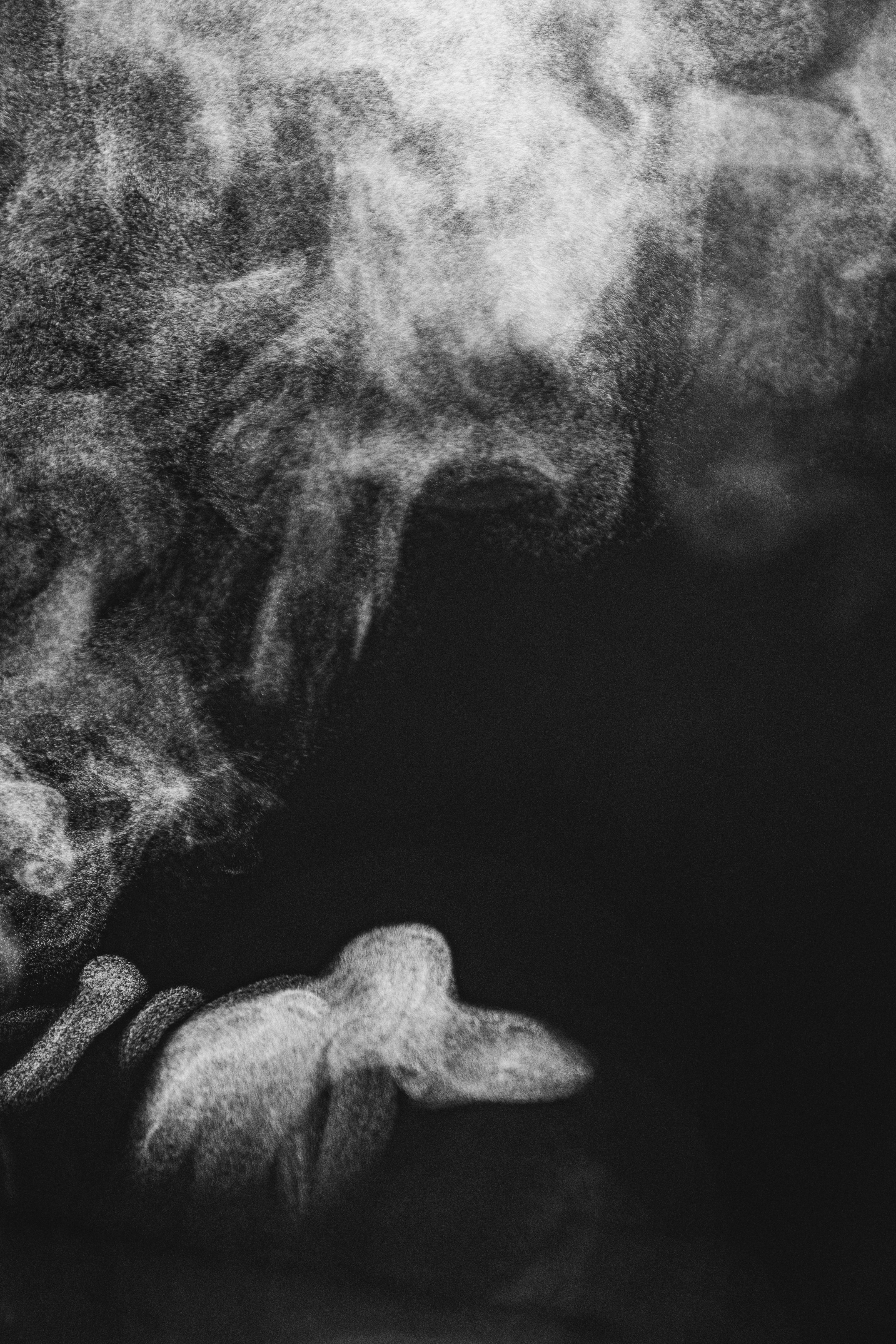 Photo by thomasstephan