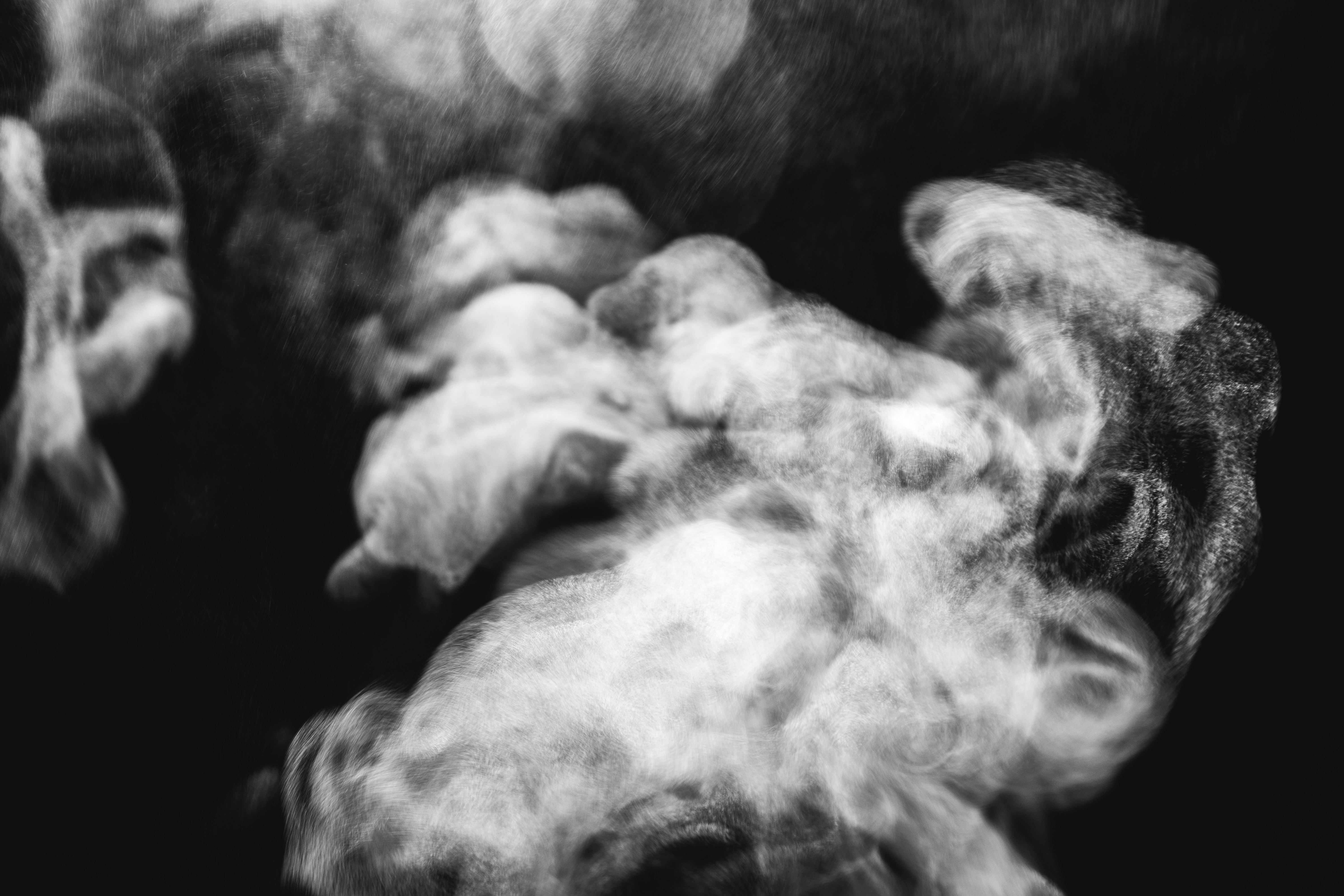 Photo by thomasstephan