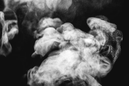 a close up of a baby gorilla