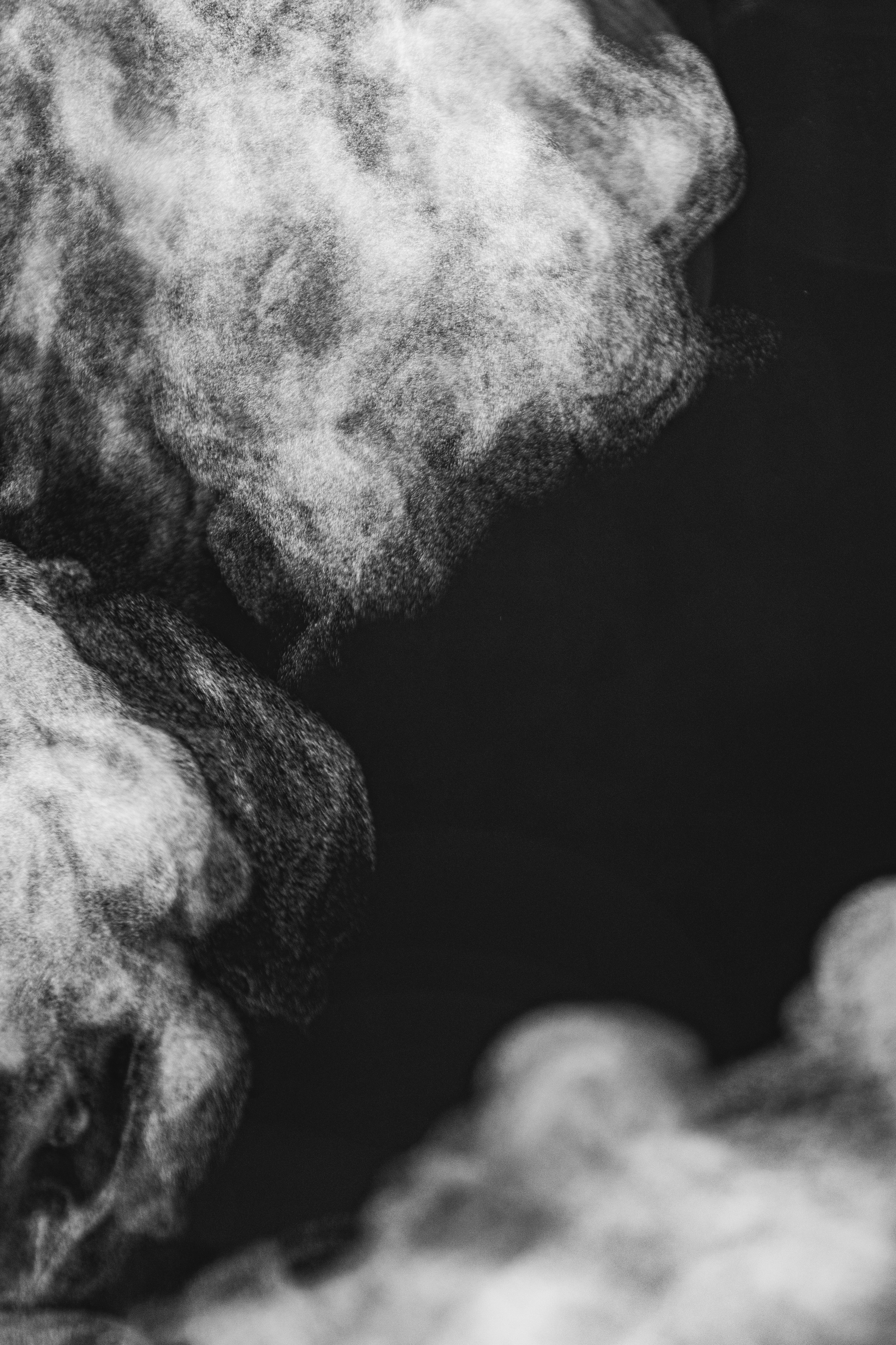 Photo by thomasstephan