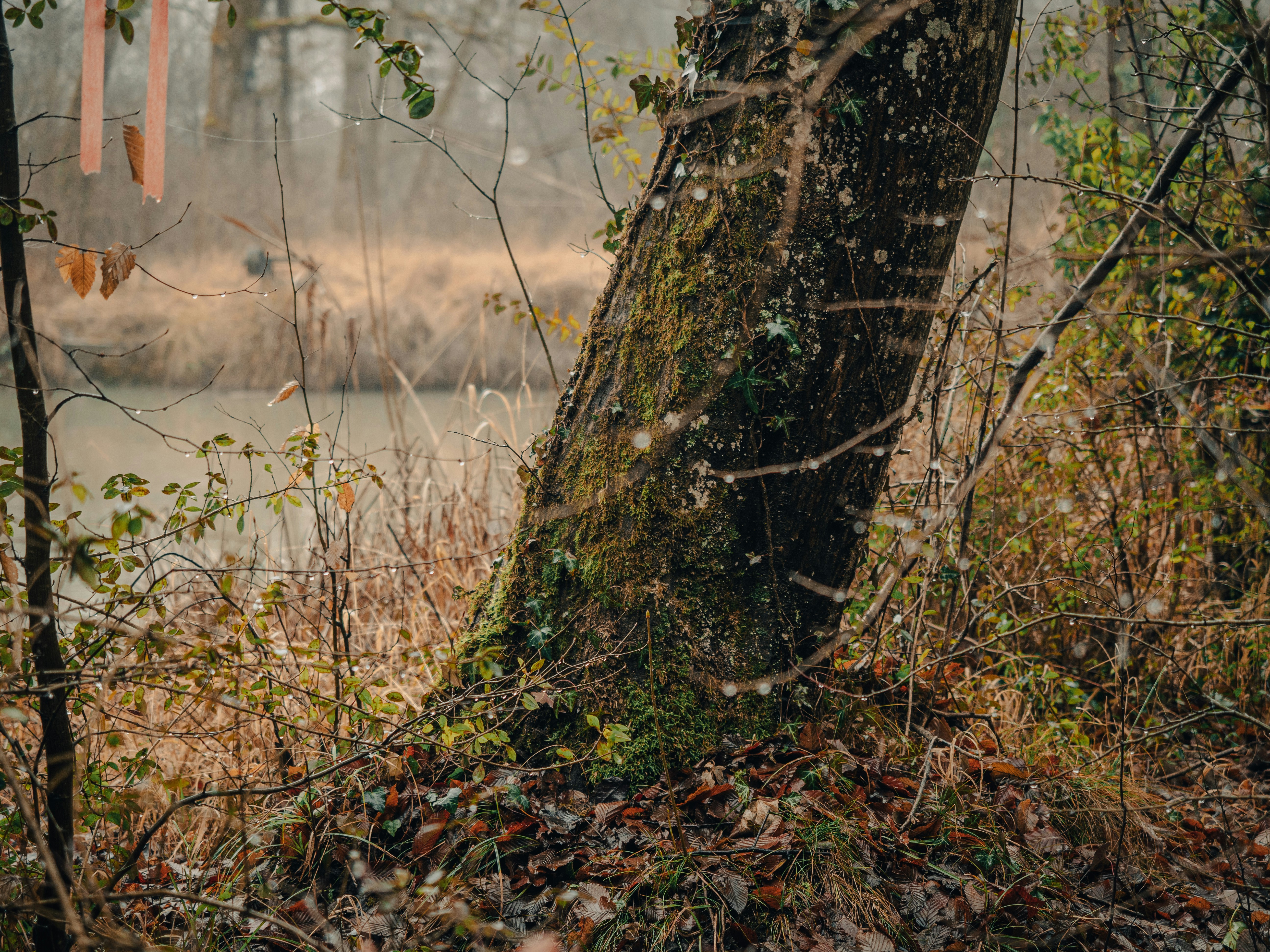 שירותי העסק