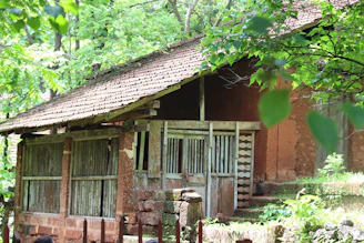 Rustic eco-friendly building surrounded by lush green trees in Puebla