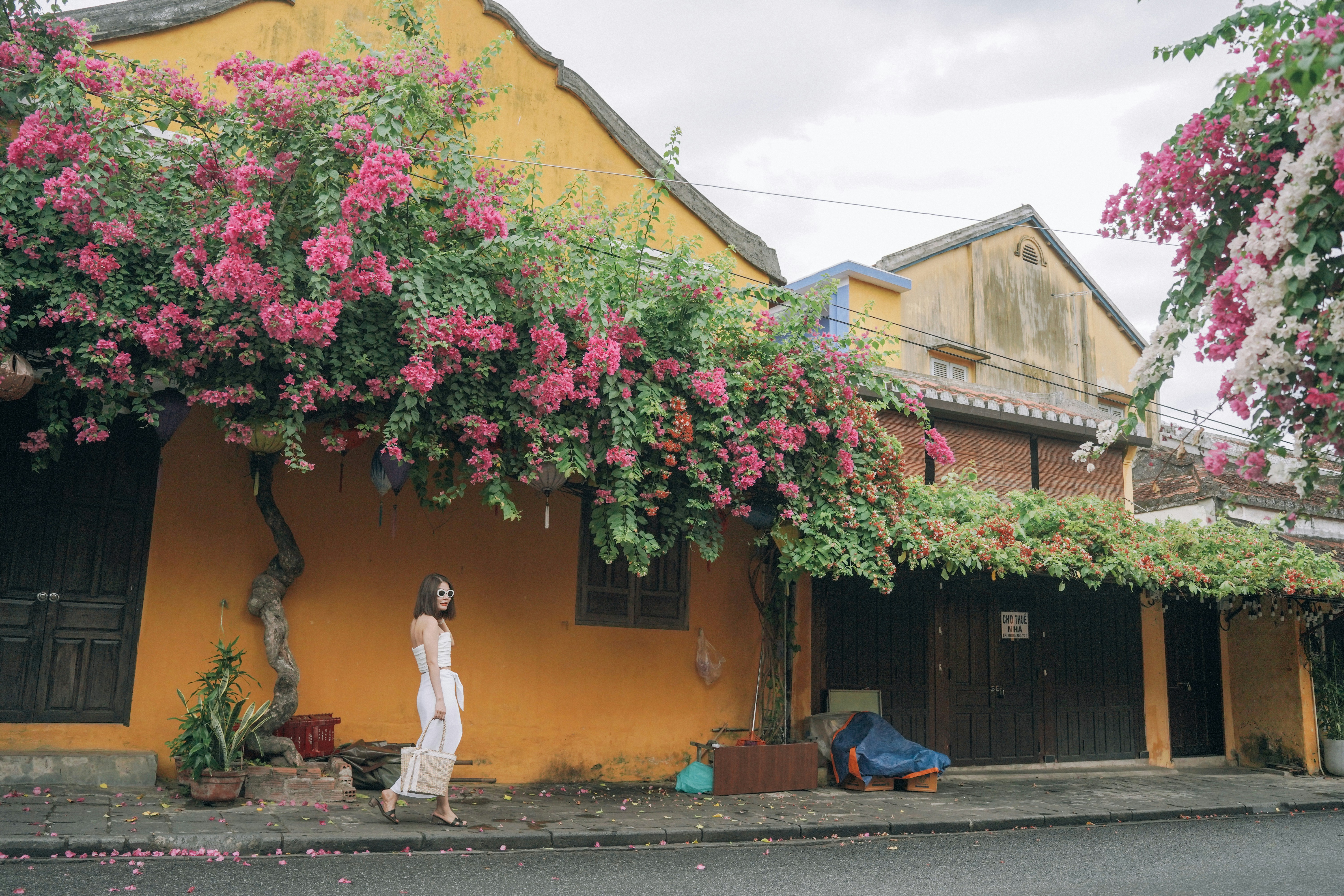 Photo by hoianphotographer