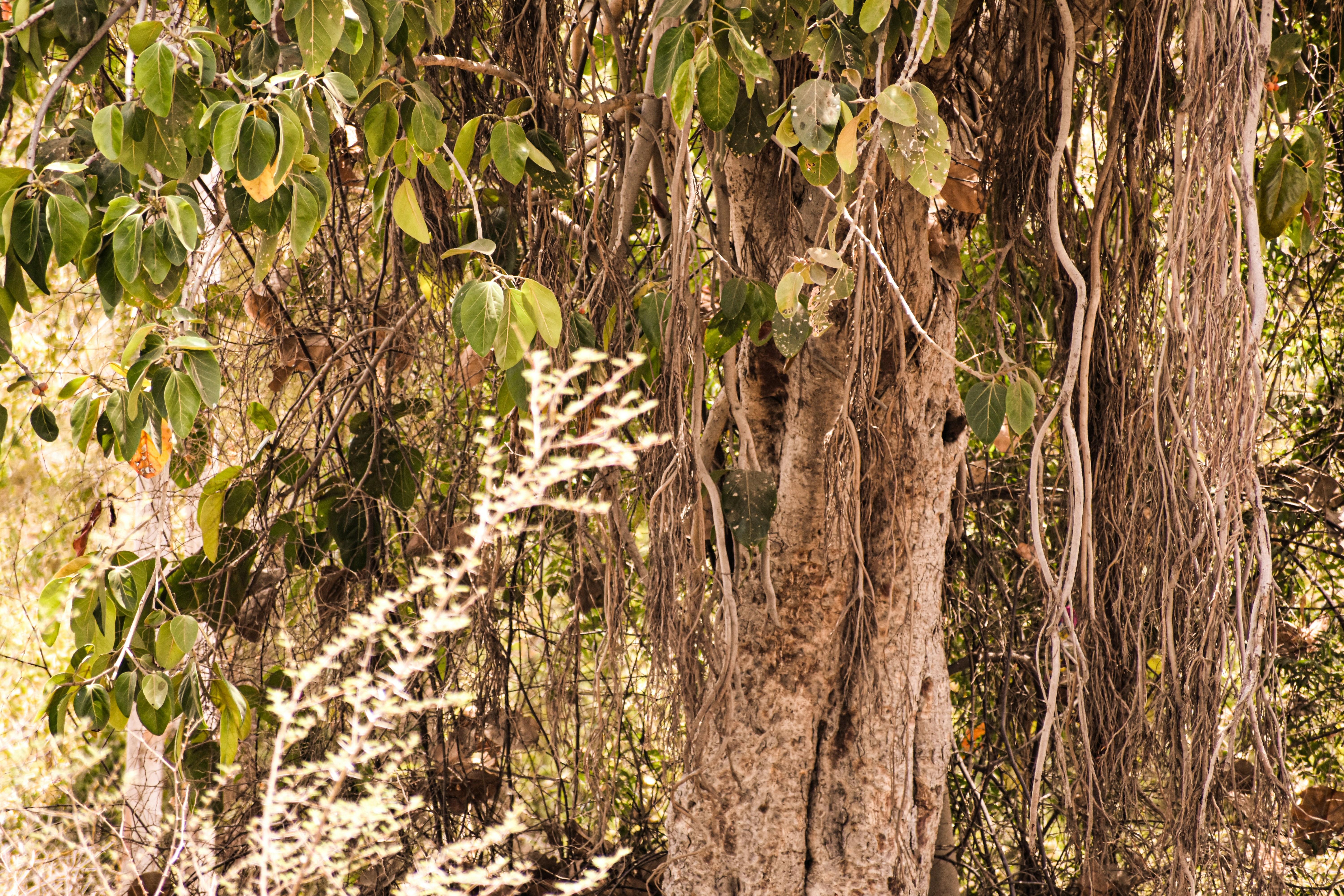 Photo by tomartist567