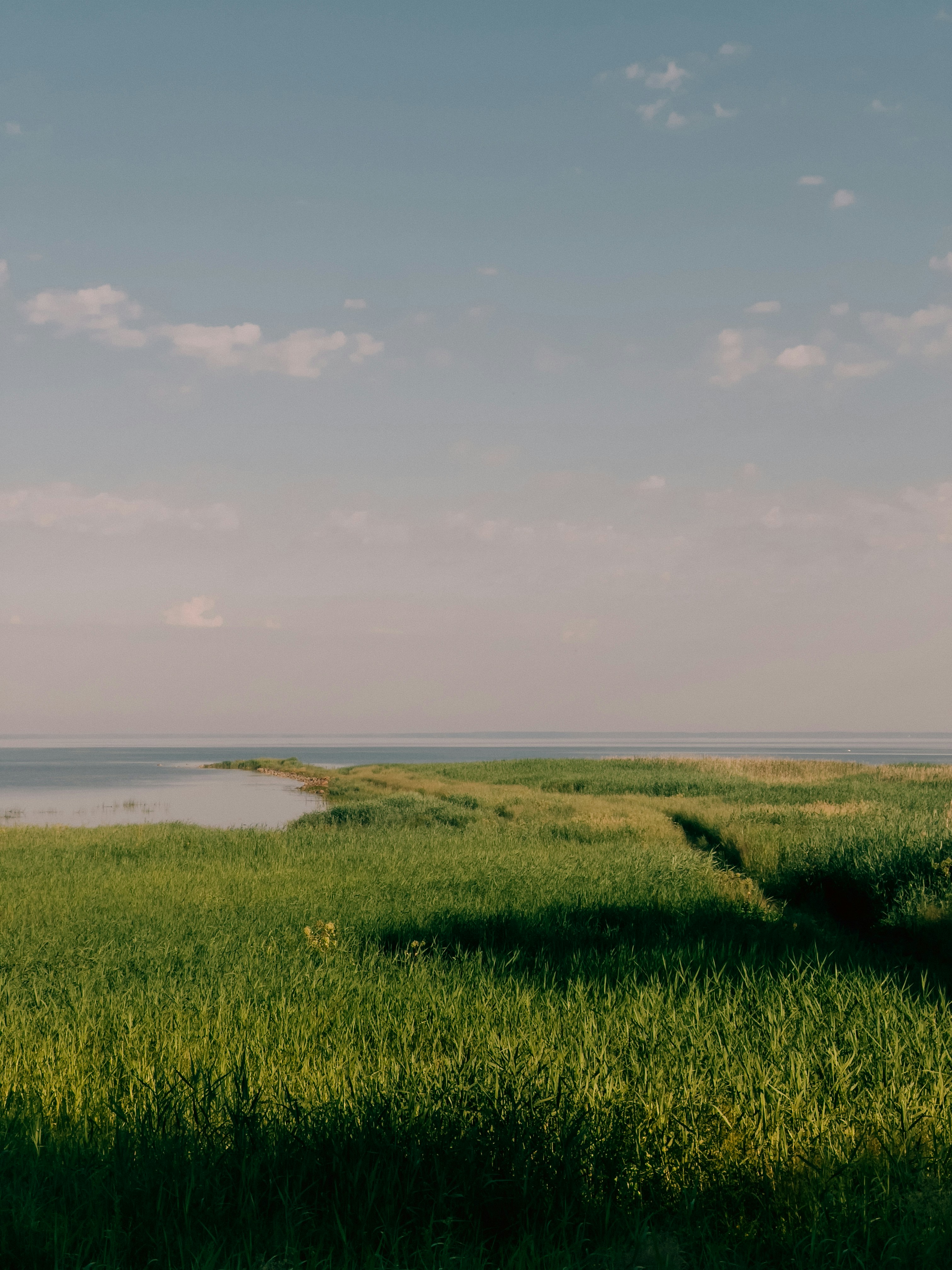 Photo by mark_zuravski