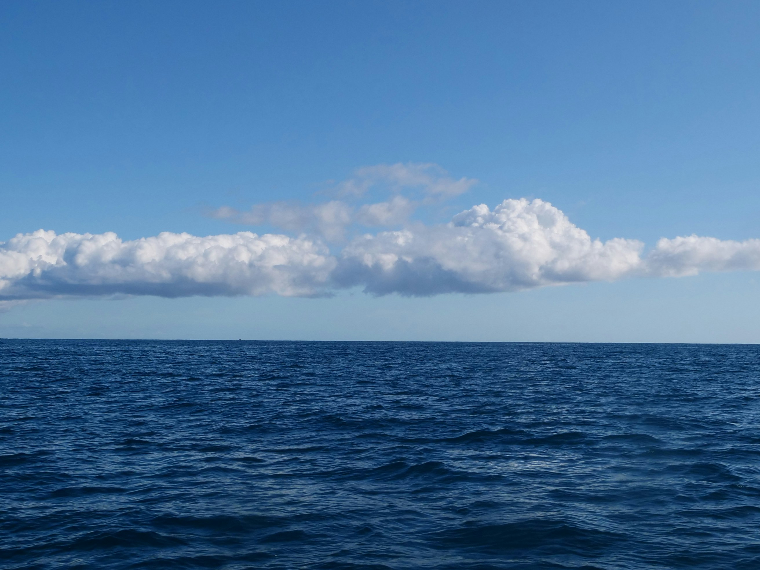 Photo by stefano_intintoli