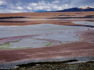 A vast landscape featuring a salt flat with shallow pools of water. The ground is tinted with hues of red, pink, and white, creating a striking contrast. In the distance, there are mountains under a partly cloudy sky. Numerous birds are scattered across the area, possibly flamingos, adding life to the serene and expansive setting.