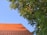 A red-tiled roof slopes upward towards a blue sky, with a lush green tree partially covering the right side of the image. The sunlight casts shadows of the tree's branches and leaves on the rooftop.