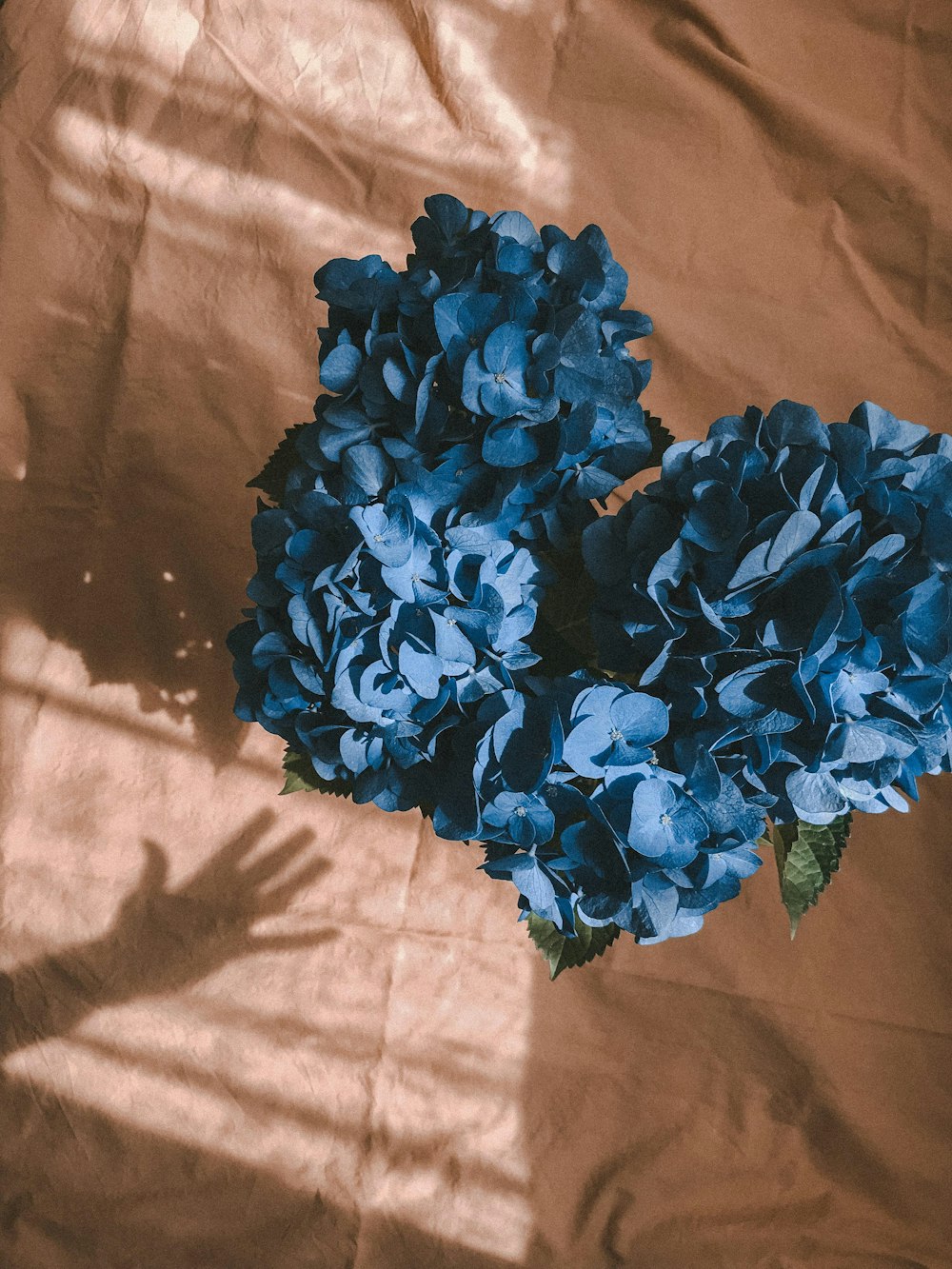 a blue flower on a person's arm