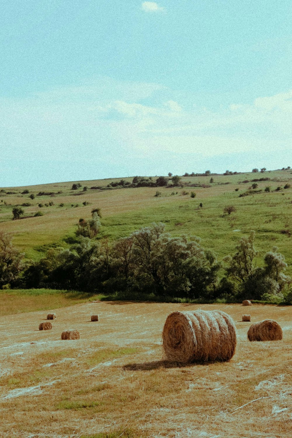 a field with bales of hay