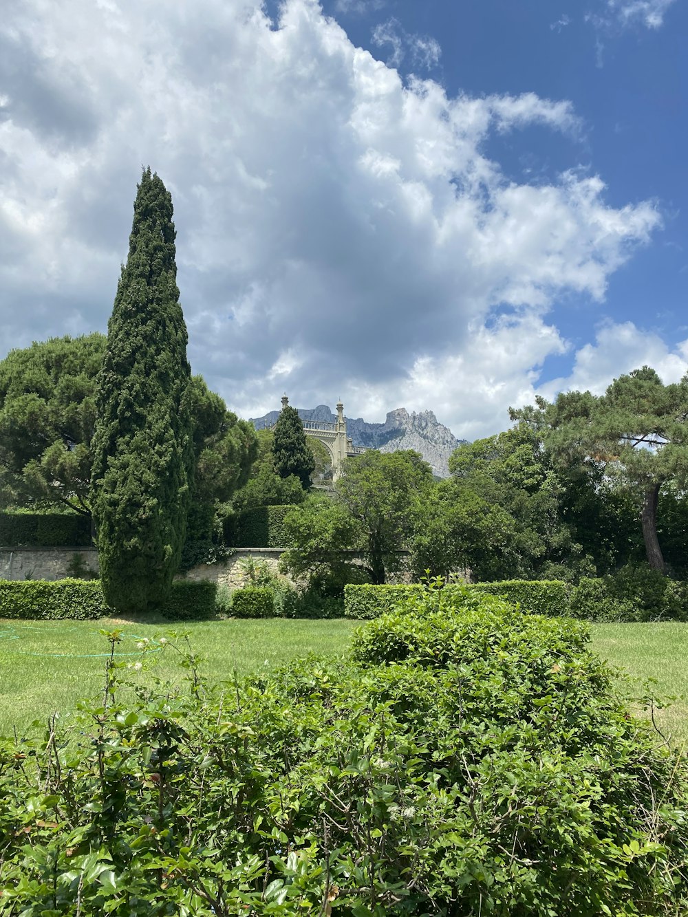 a large green landscape with trees and a castle in the background