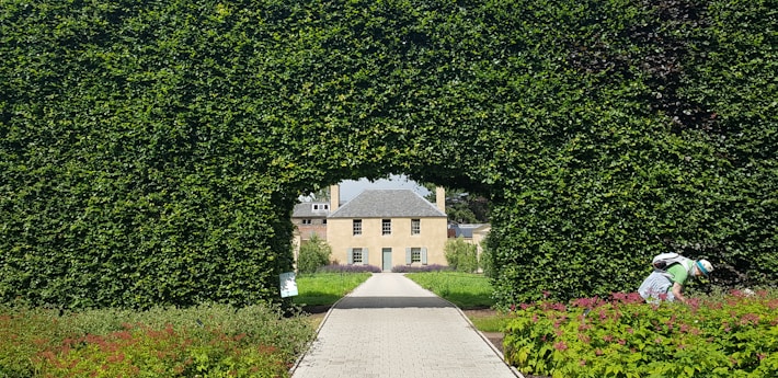 a person walking on a path surrounded by trees