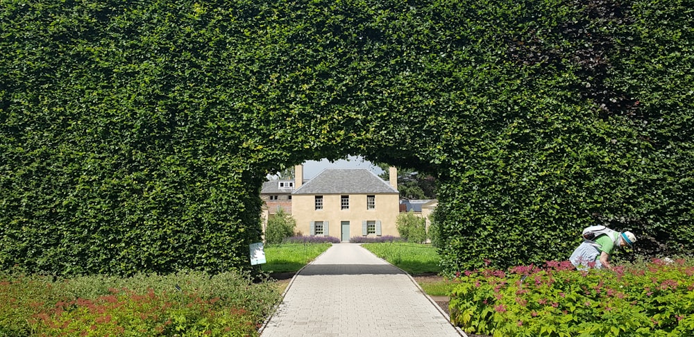 a person walking on a path surrounded by trees