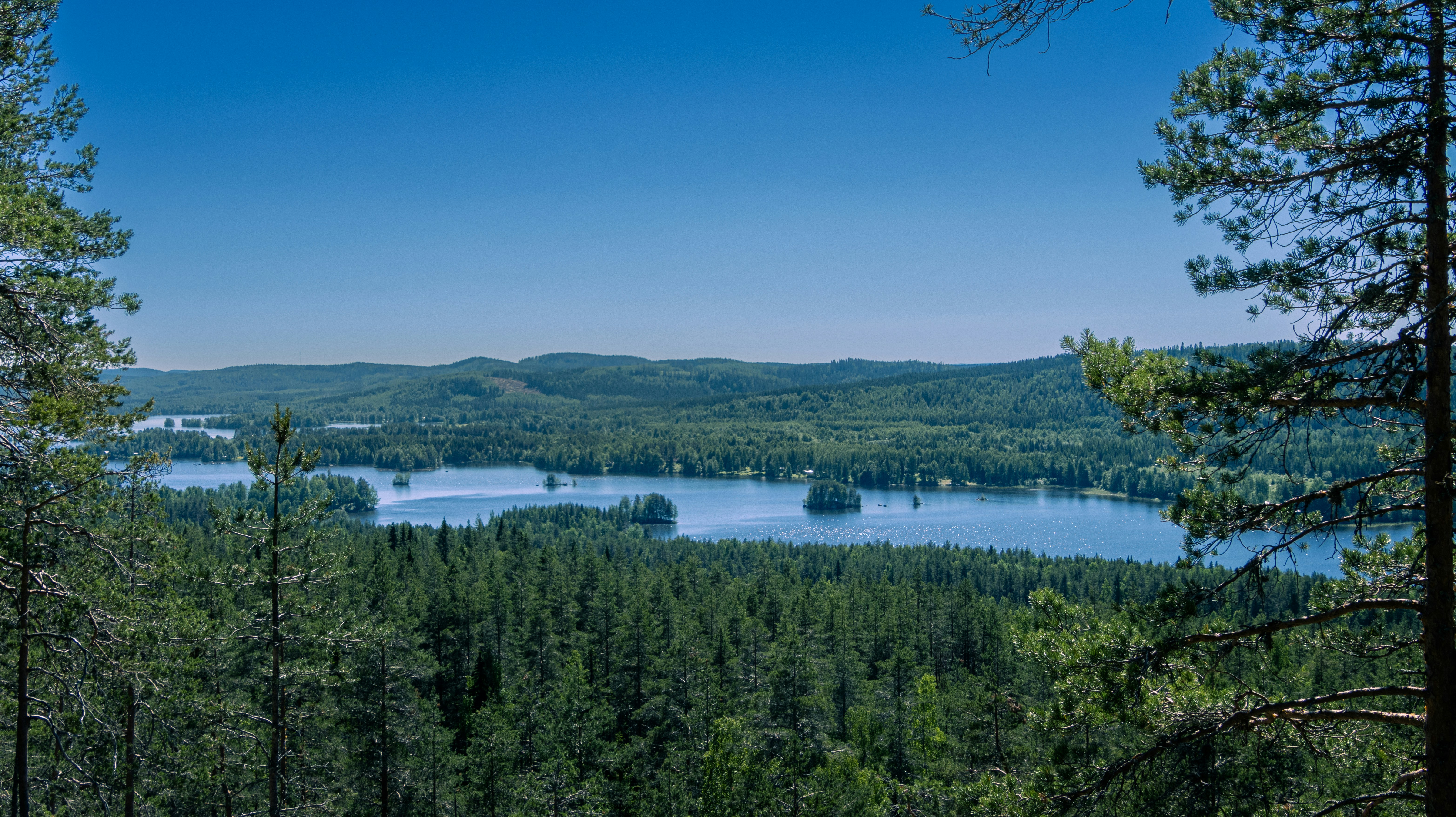 a lake surrounded by trees, Koli national park, restorer