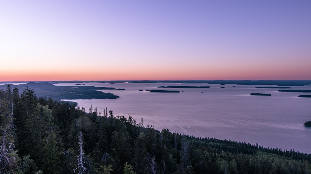 a landscape with trees and water