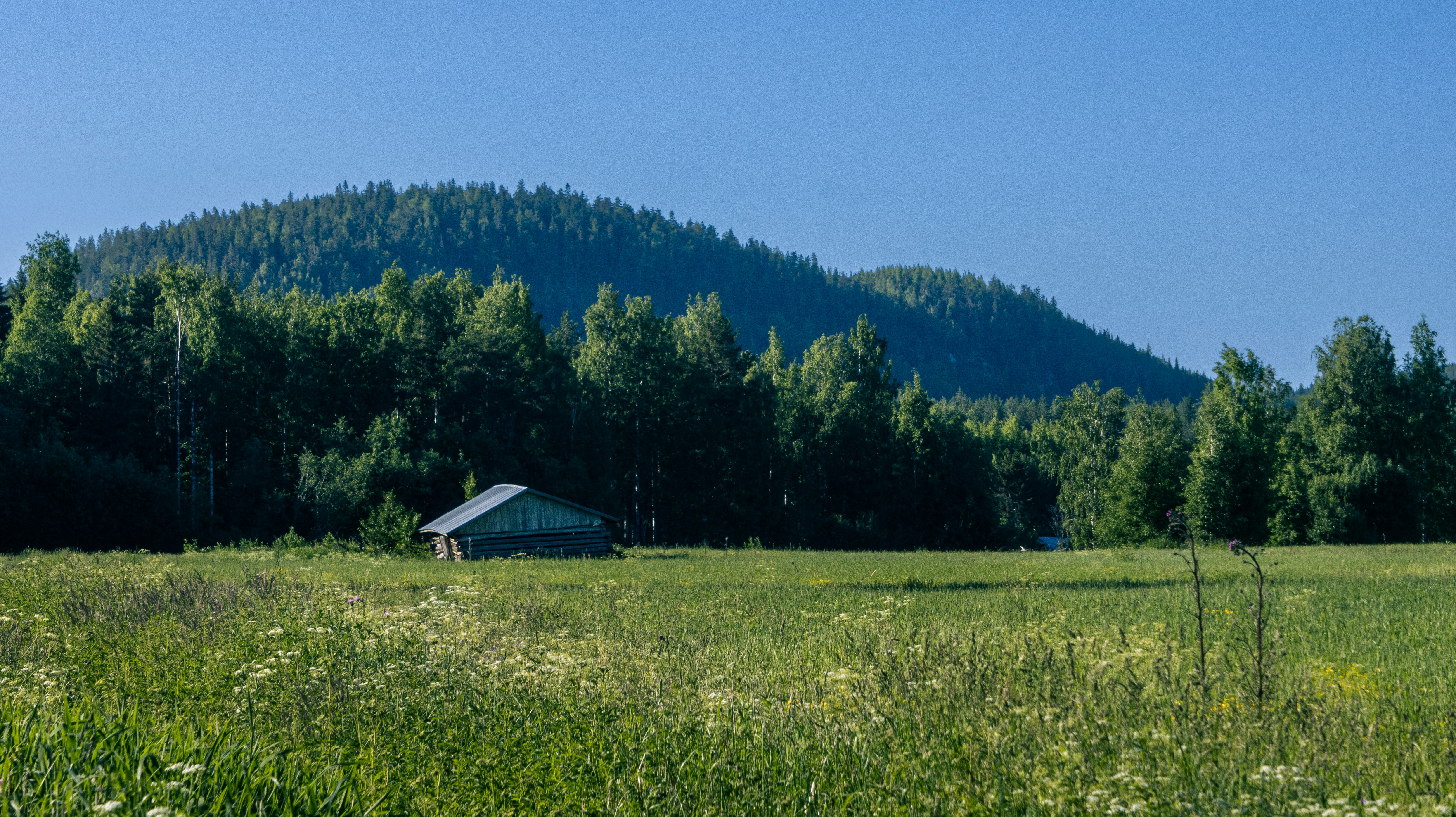 Photo by juho_aleksi_luomala