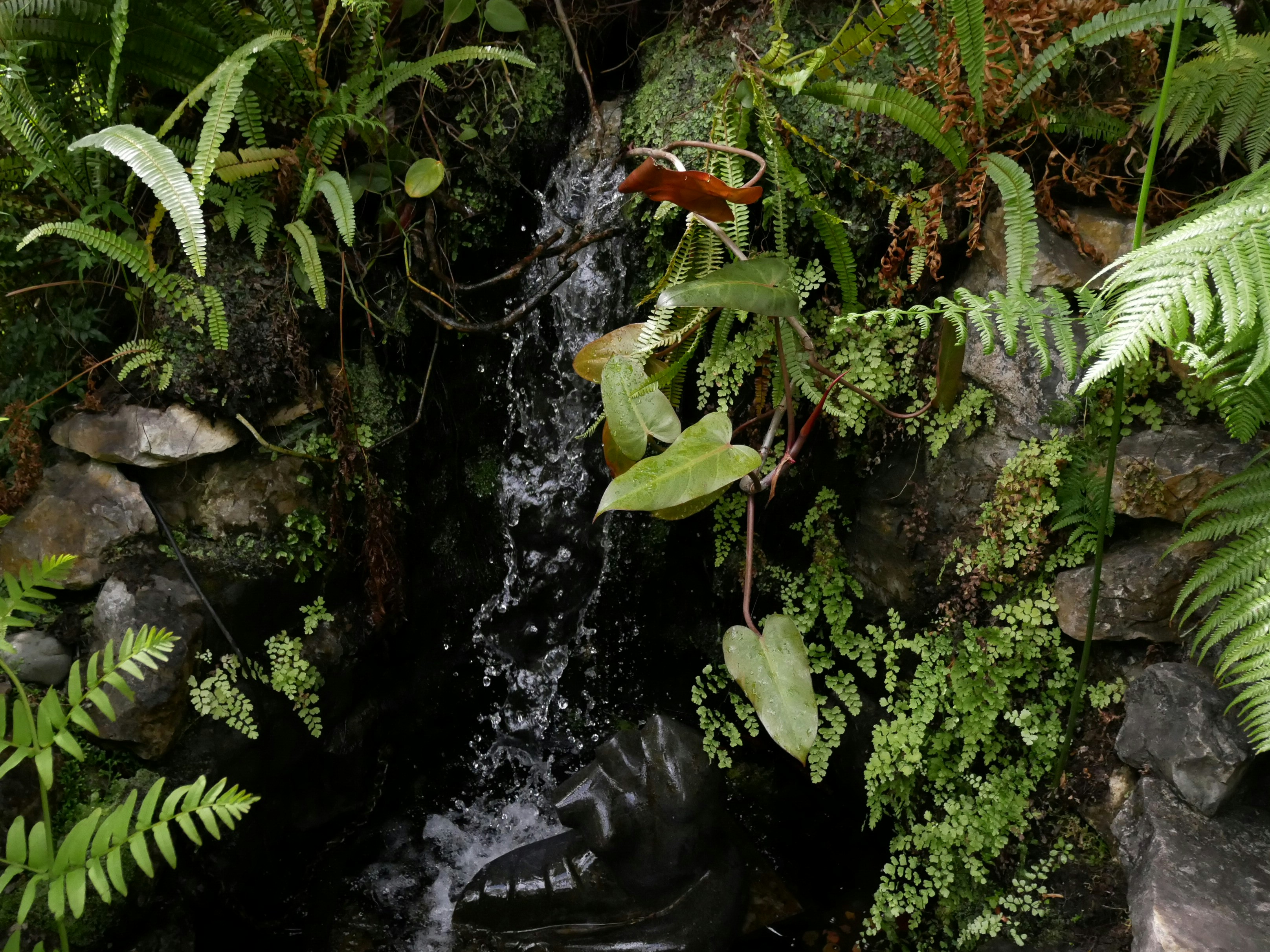 Find a pretty green background that evokes nature, trees, or... money. Okay we said it. Unsplash photos are carefully curated and 100% free.