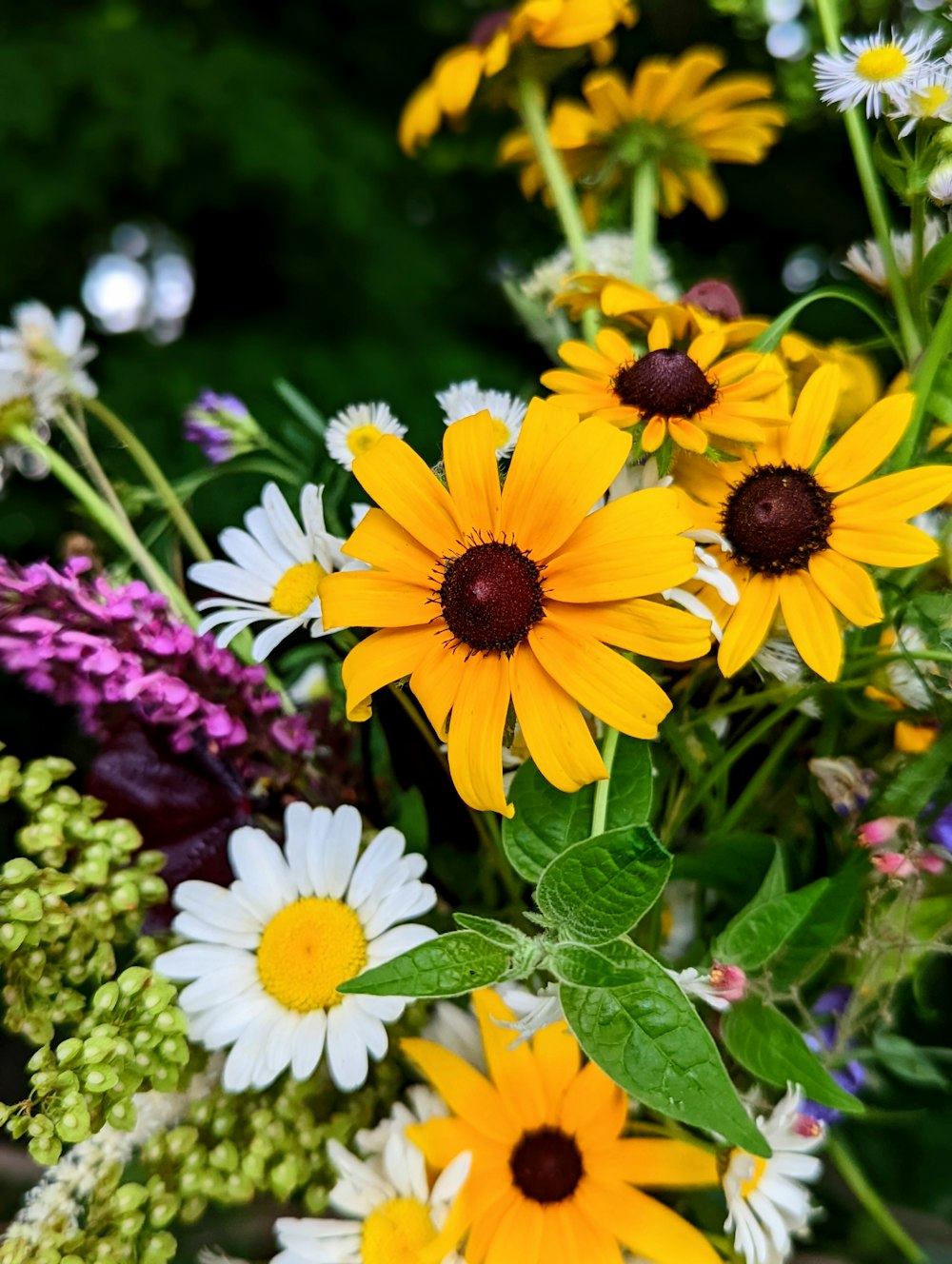 a group of yellow and white flowers