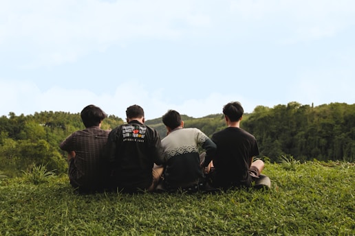 a group of people sitting in a grassy field looking at trees