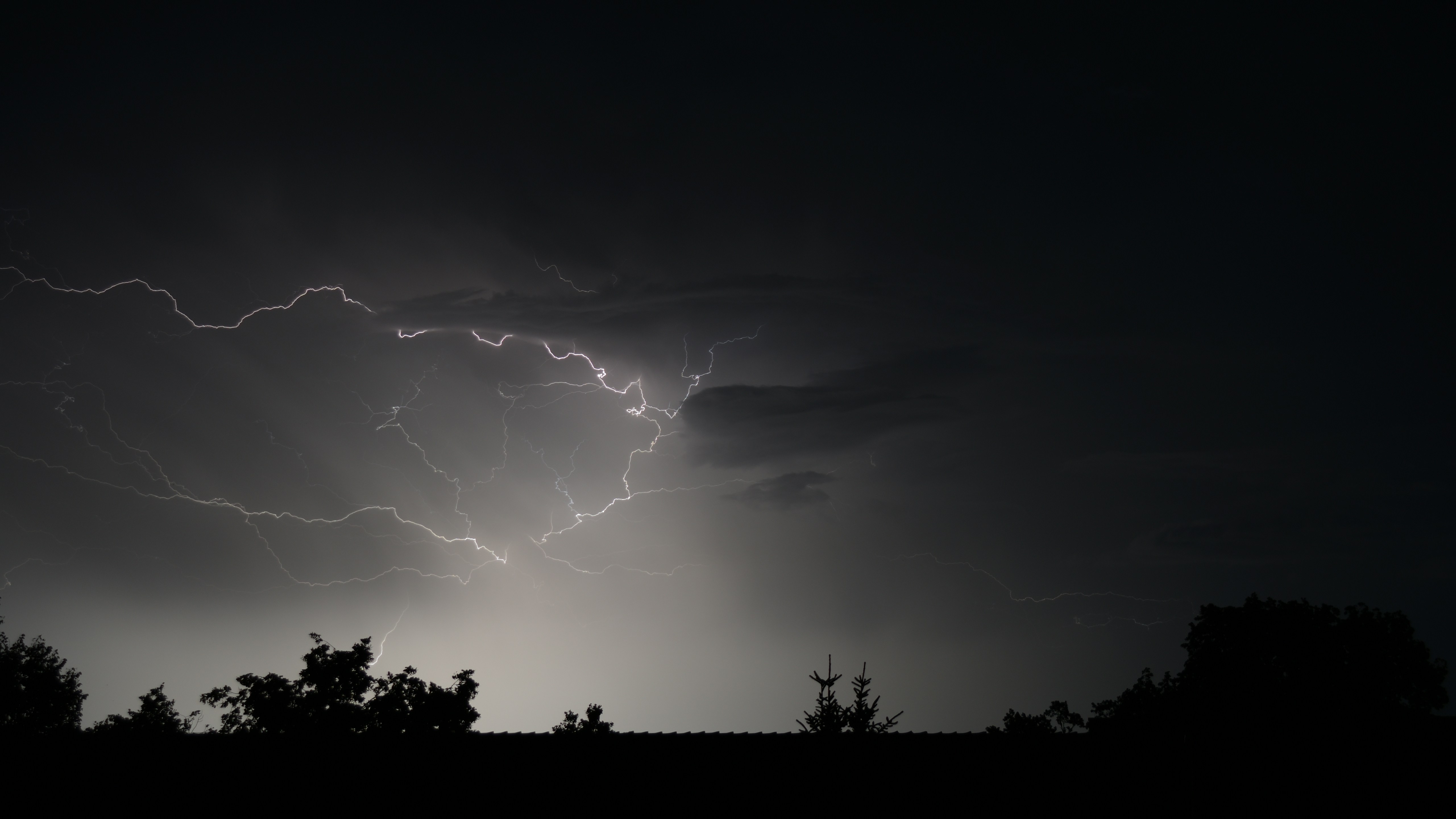 Photo by mangosaregreat