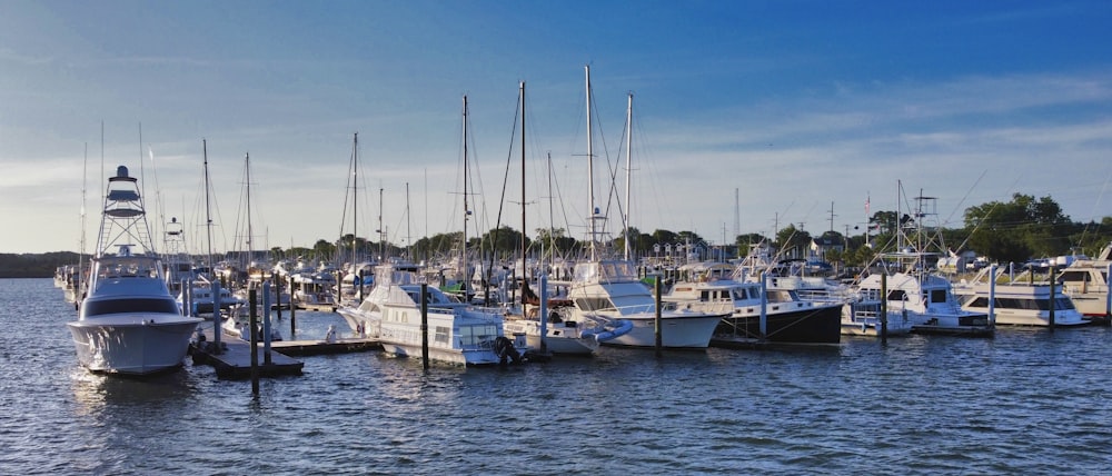 a group of boats sit in a harbor