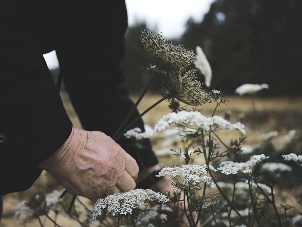 a person holding a flower