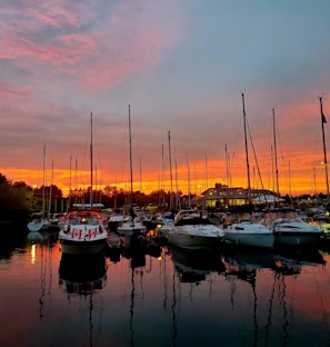 Sunset view over a marina filled with various boats