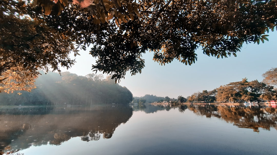 Natural landscape photo spot Bogor Ragunan